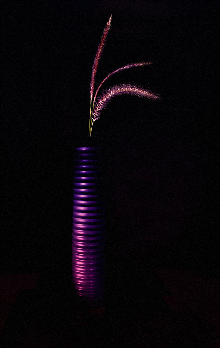 Reeds and Vase by Tom Brassil