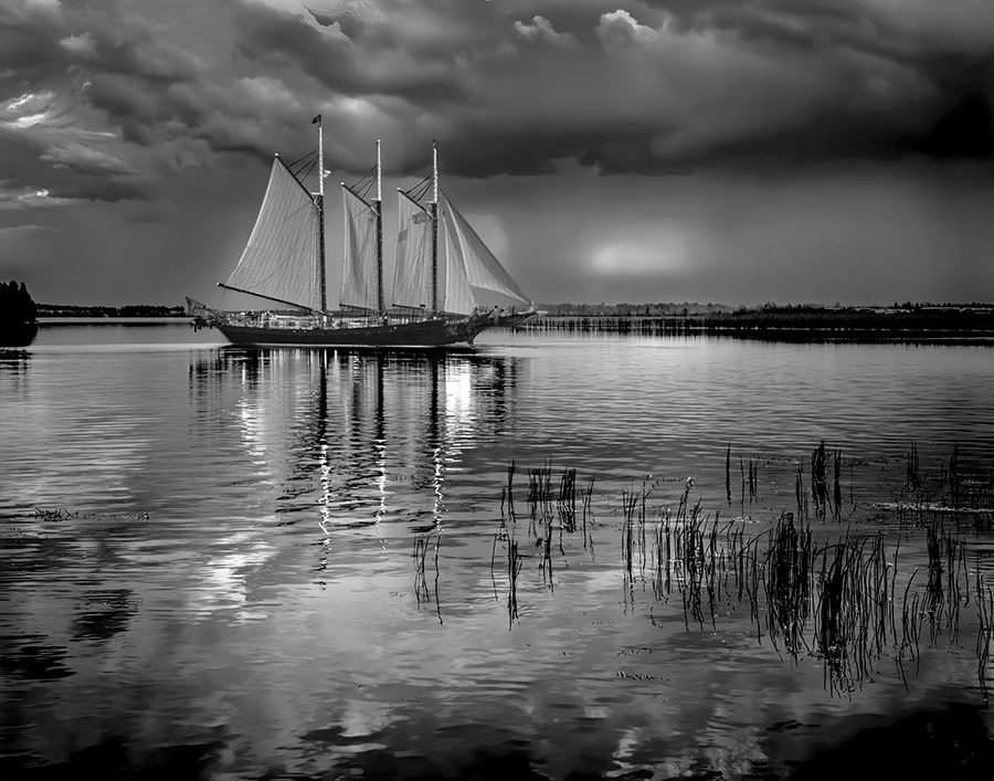 Eye of the Storm by Ingrid Lockhart