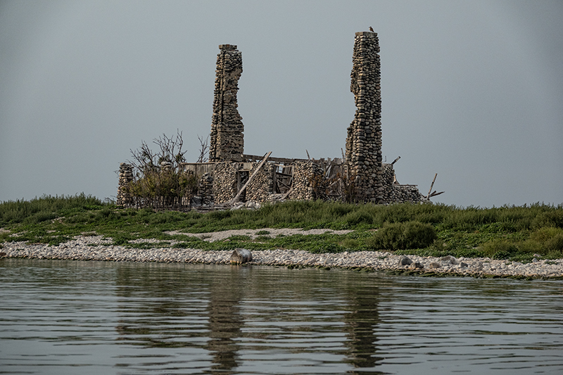 November 2025 - Ingrid Lockhart