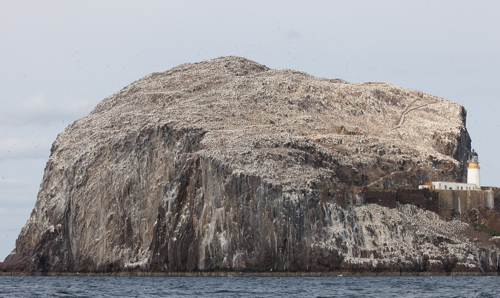 November 2025 - Gloria Grandolini