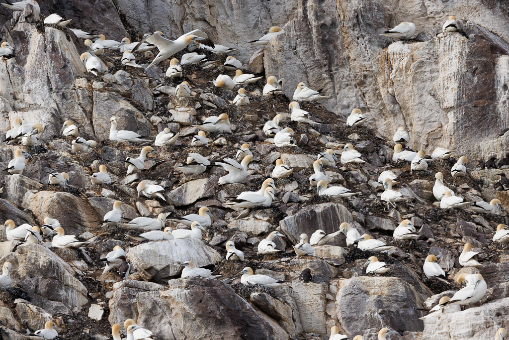 November 2025 - Gloria Grandolini