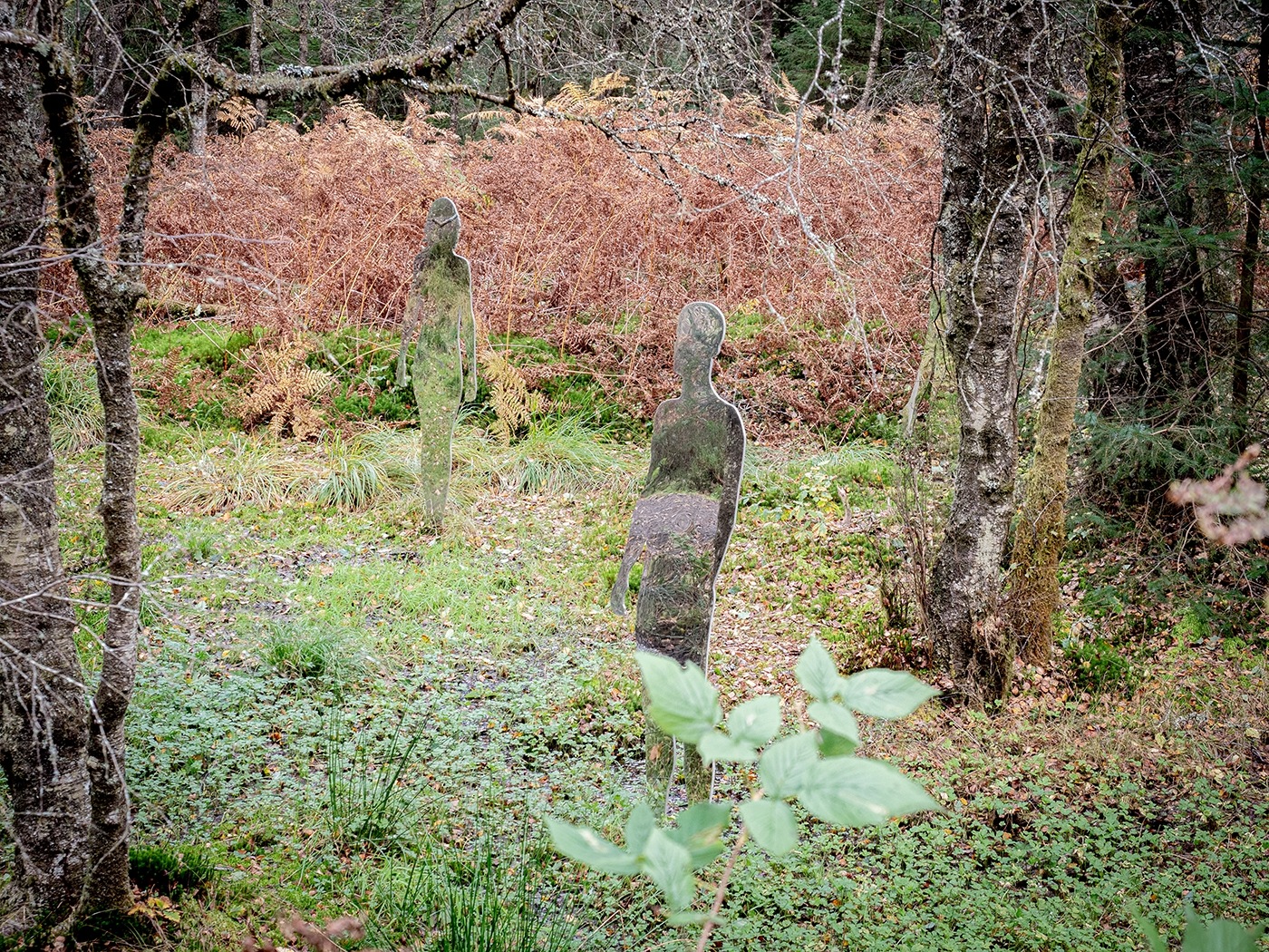 November 2025 - Charles Shepherd