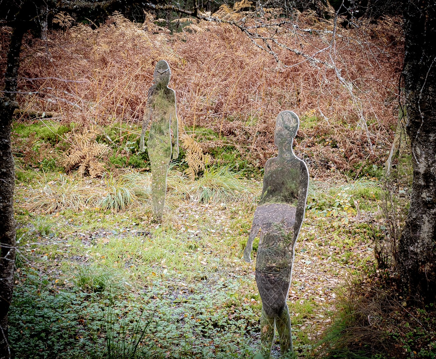 (Untitled) by Charles Shepherd