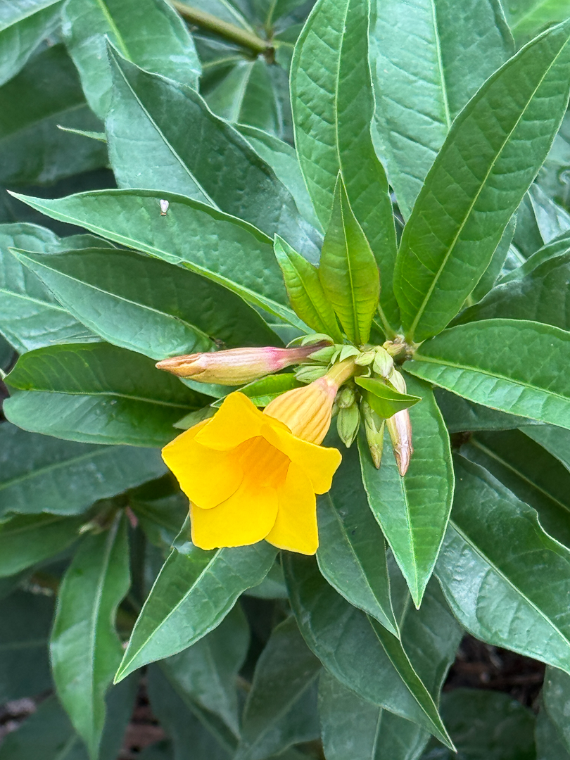 April 2026 - Joan Funk