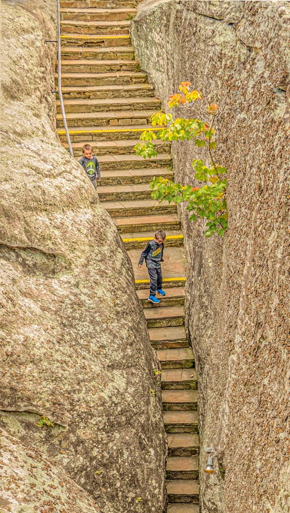 Rock City Stairway by Joan Funk