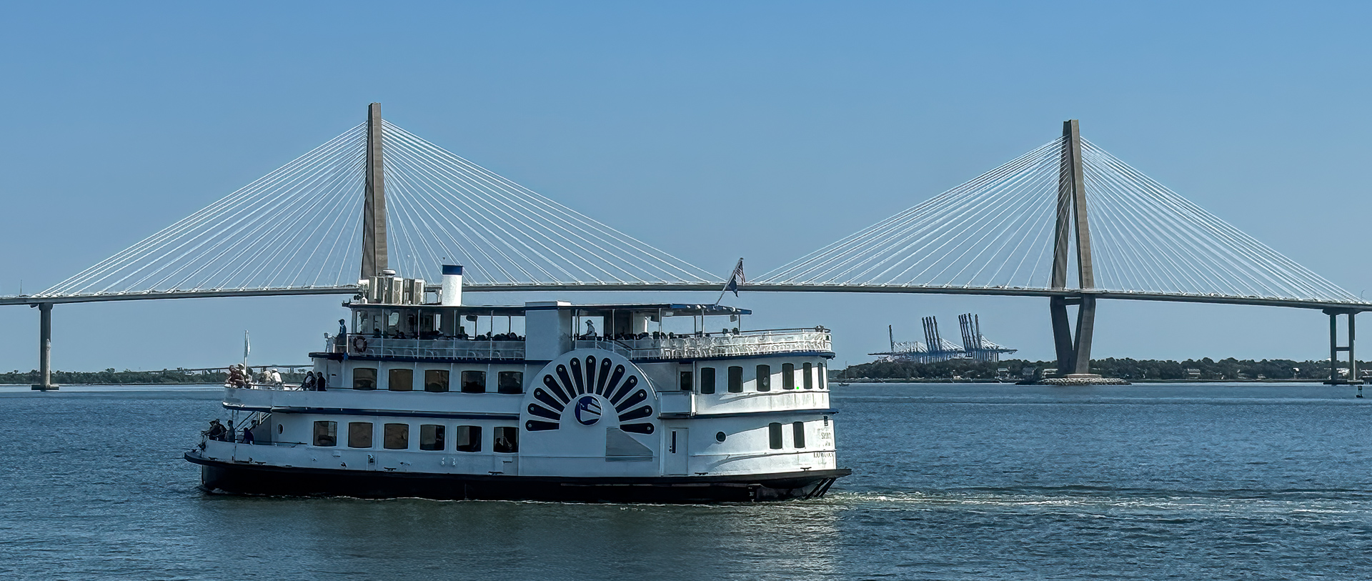 Ravenel Bridge by Joan Funk