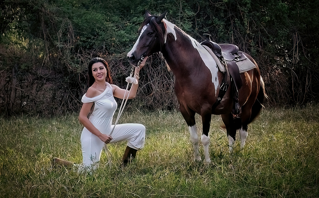 Equestrian by Dr V G Mohanan Nair