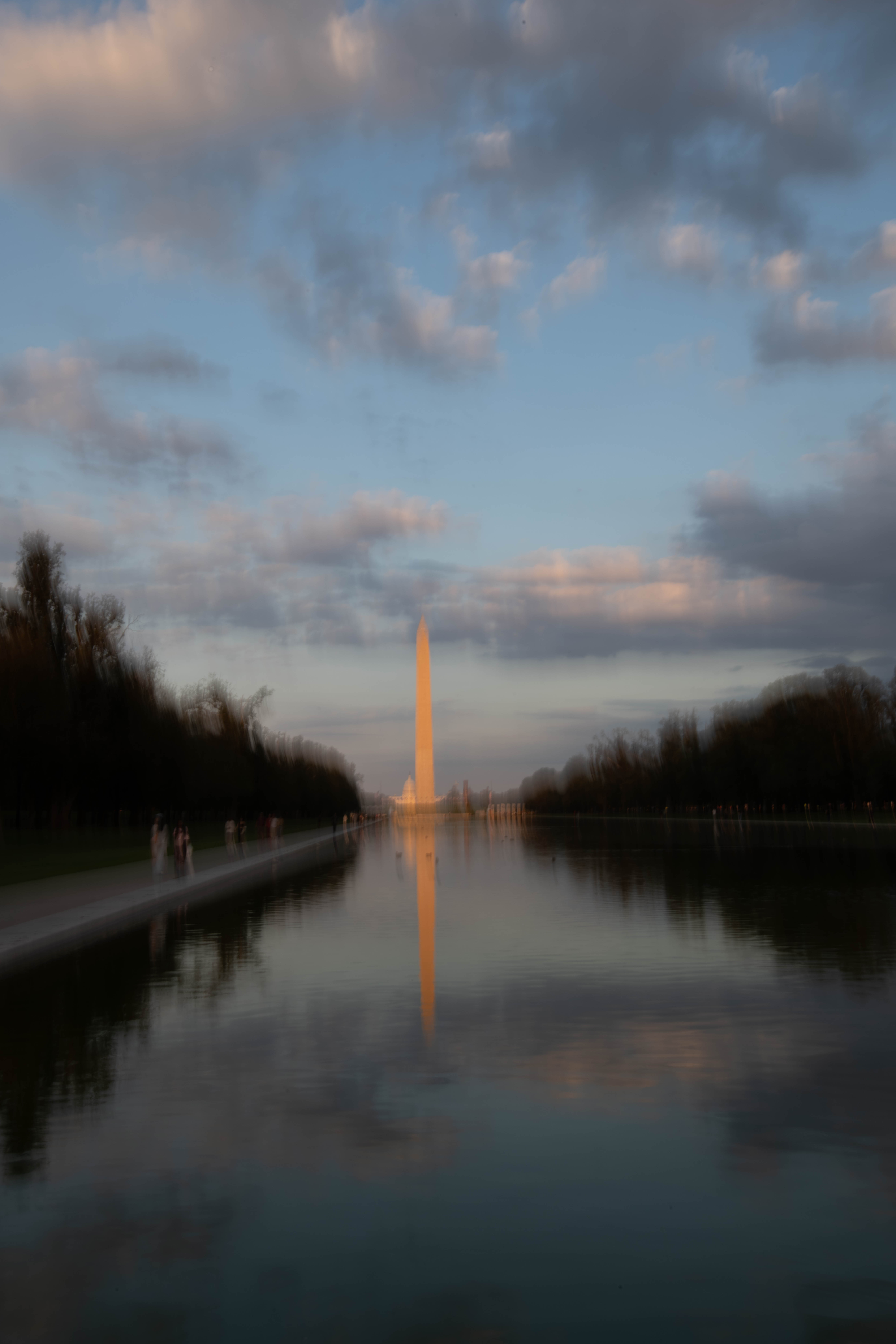 November 2025 - Svetlana Rogic