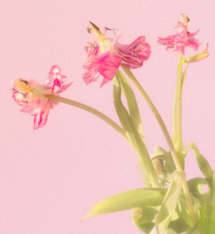 Aging With Friends by Terry Campanella