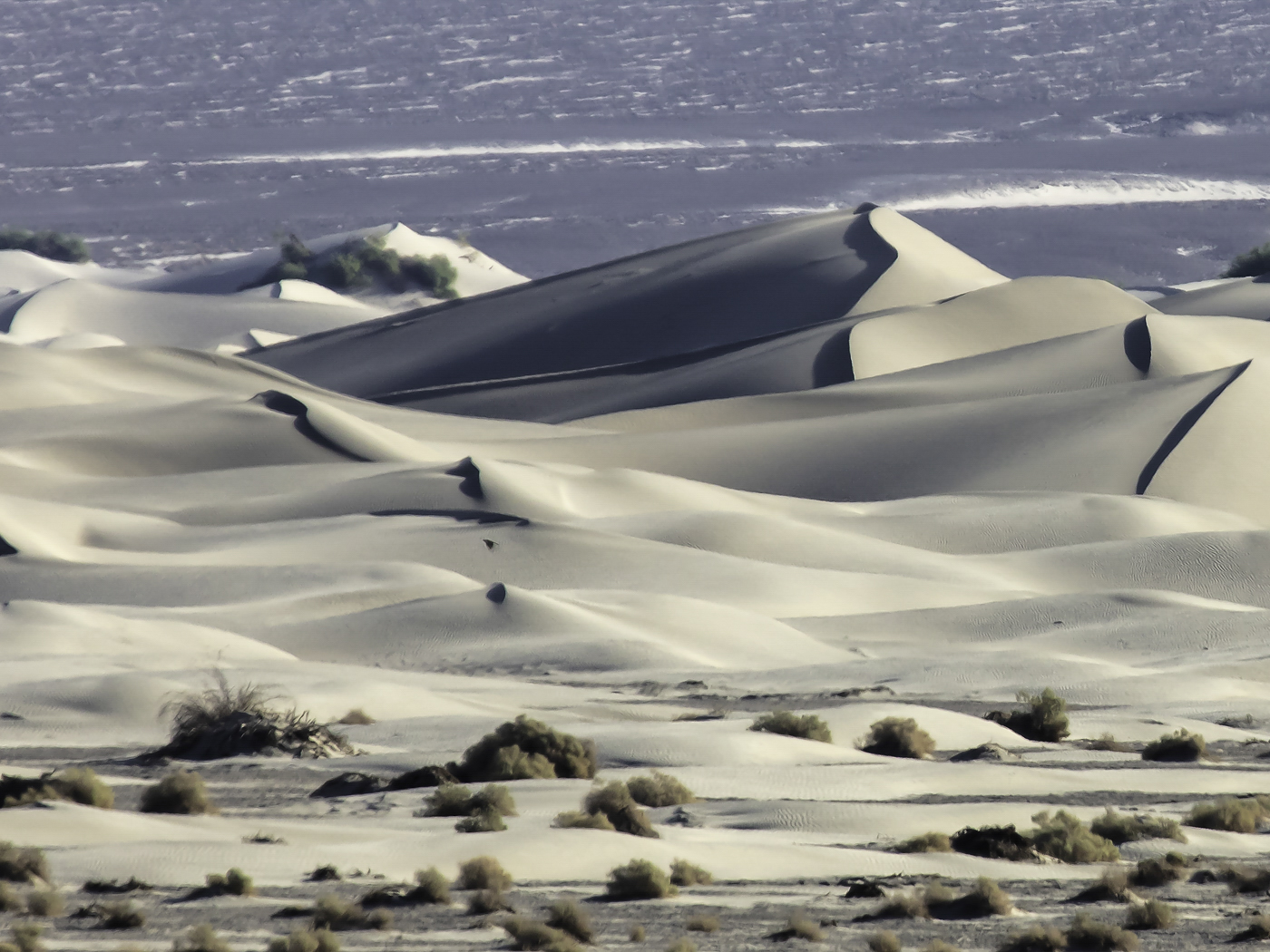 Mesquite Flat Sand Dune by Walter Naumann