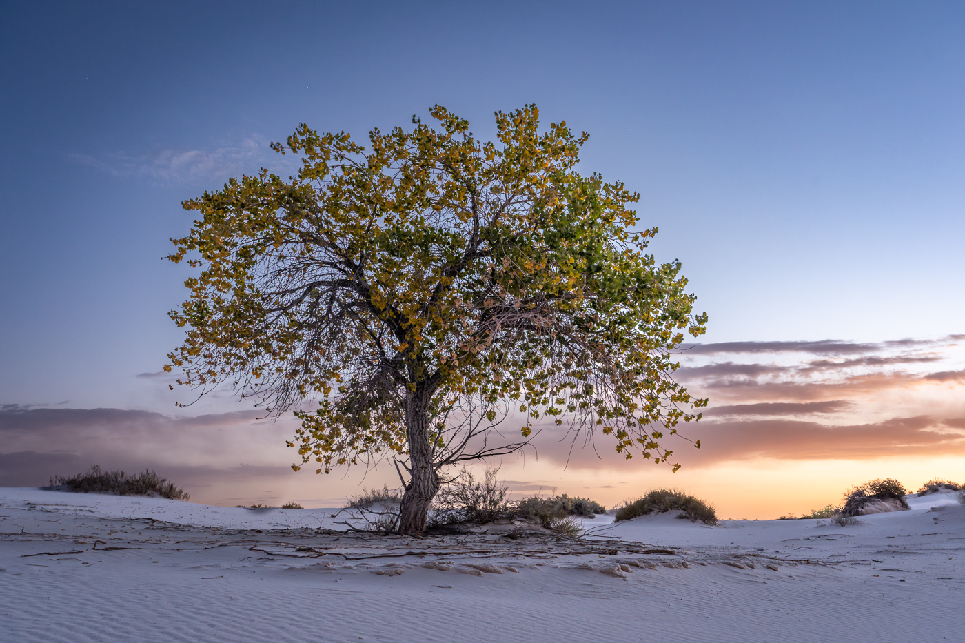 White Sands by Sheldon Wecker