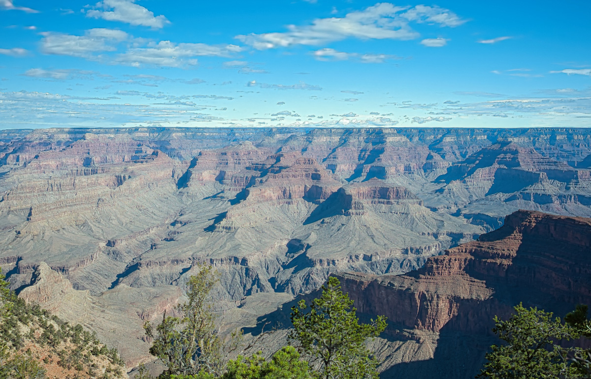 Grand Canyon Morning by Joe Norcott