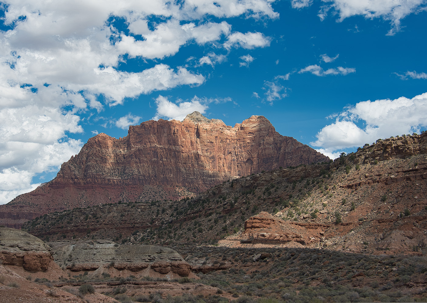 Sunny on the Peak by Joe Norcott