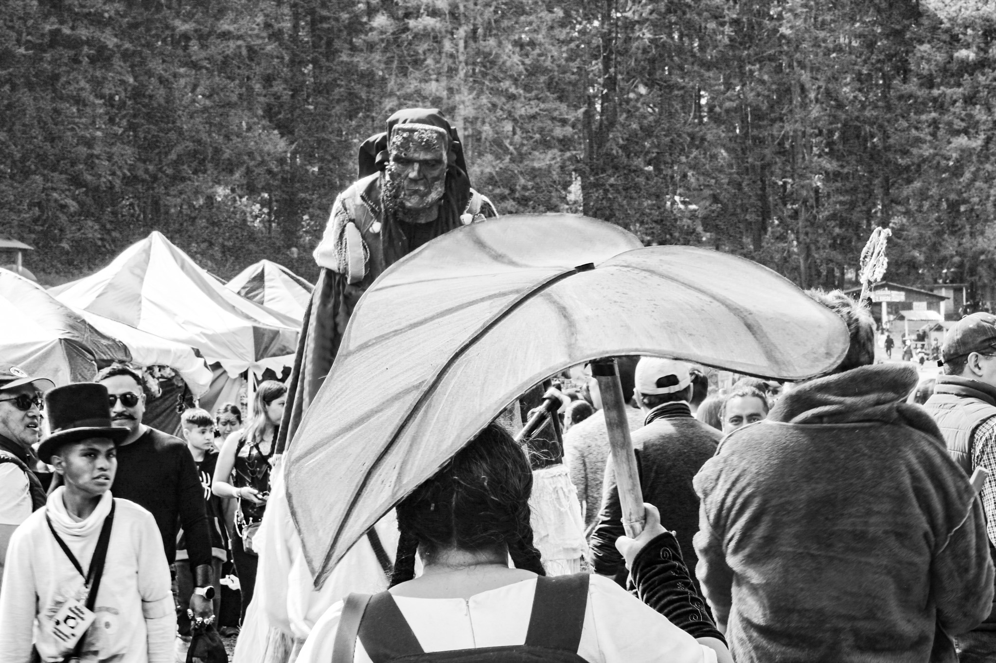  Walking Tree by Carlos Roman