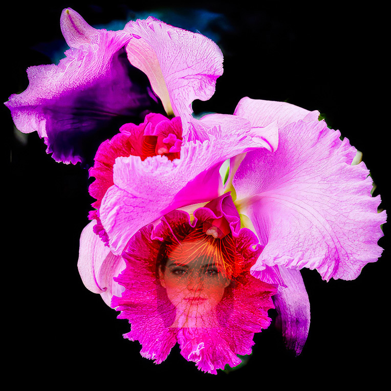 Face of anorchid by Jan van Leijenhorst