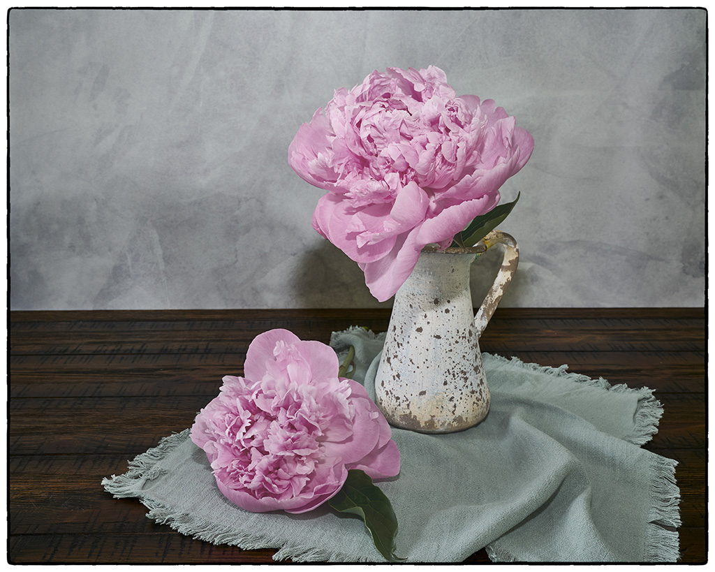 Pair of peonies by Karen Botvin