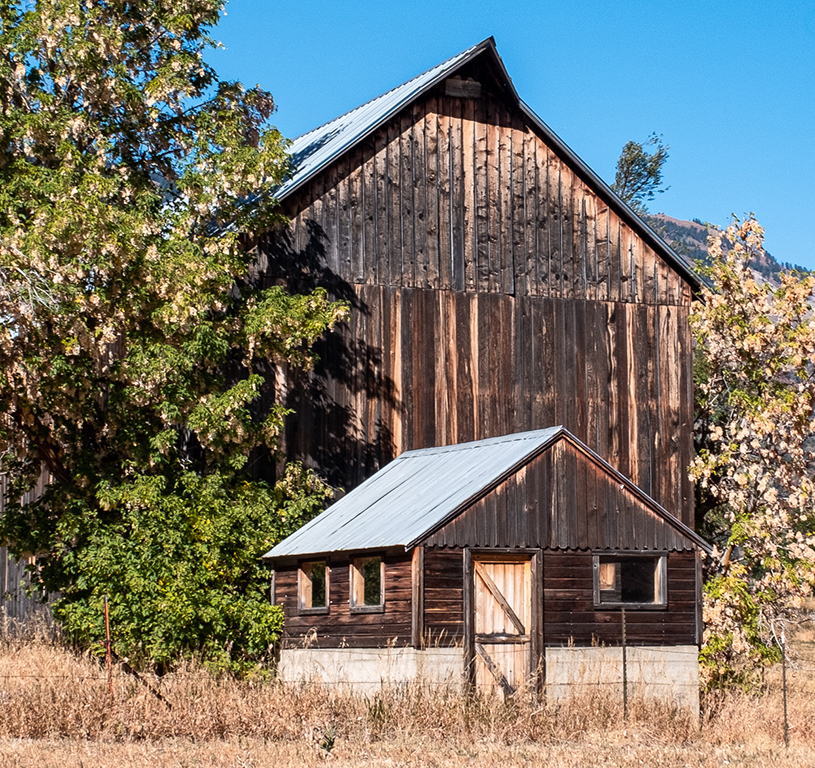 January 2025 - Bob Wills