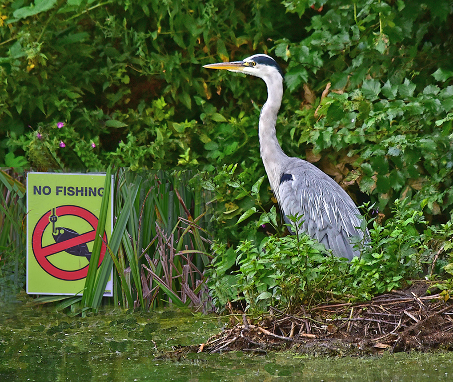 Warning - No fishing by Mike Cowdrey, MPSA