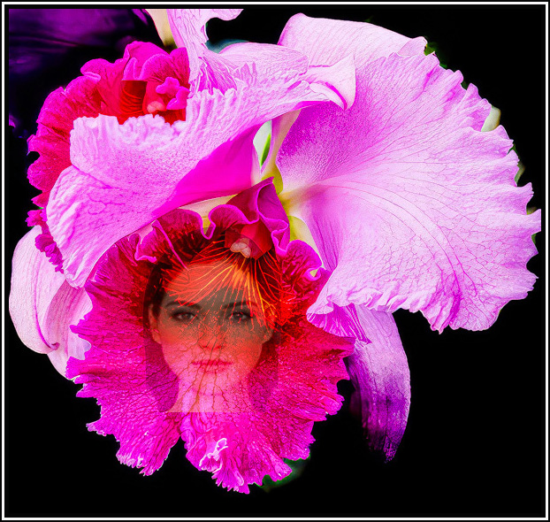 Comment Image