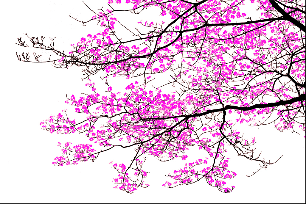 Comment Image