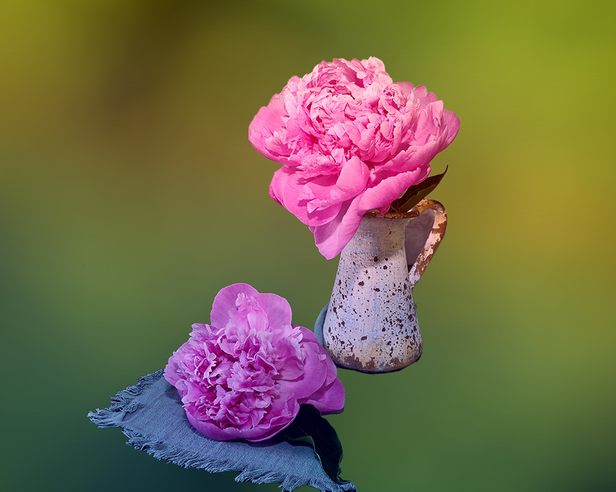 Comment Image