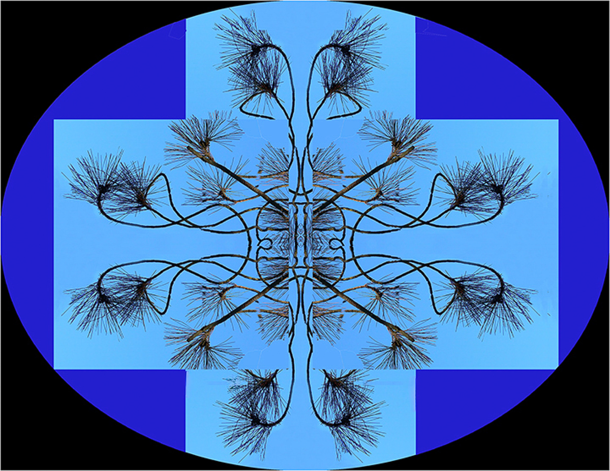 Comment Image