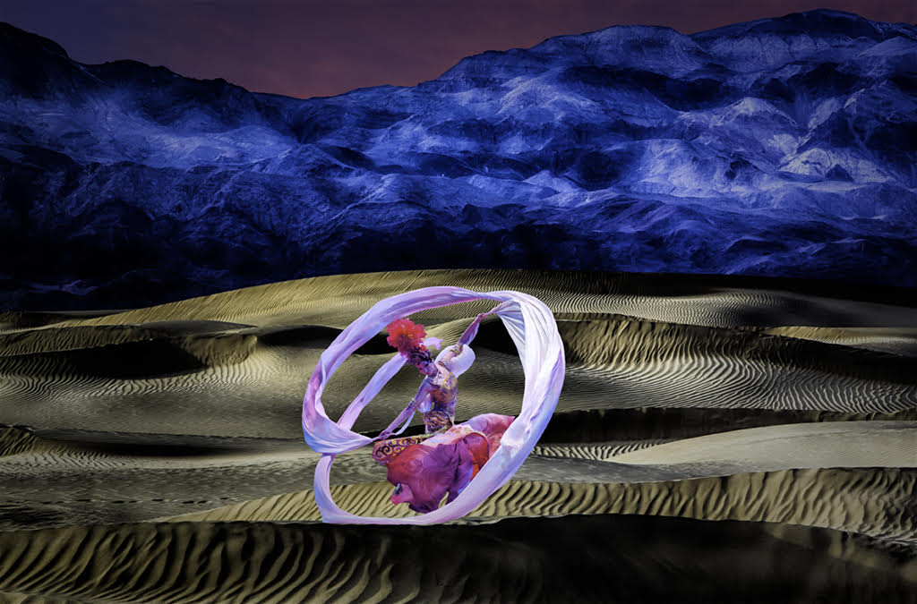 Dune dancer by Gerald Fleury, QPSA, BPSA
