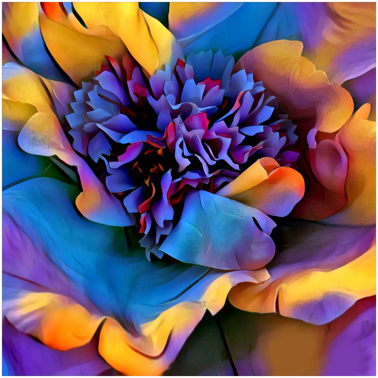 Creative flower by Mark Southard, FPSA
