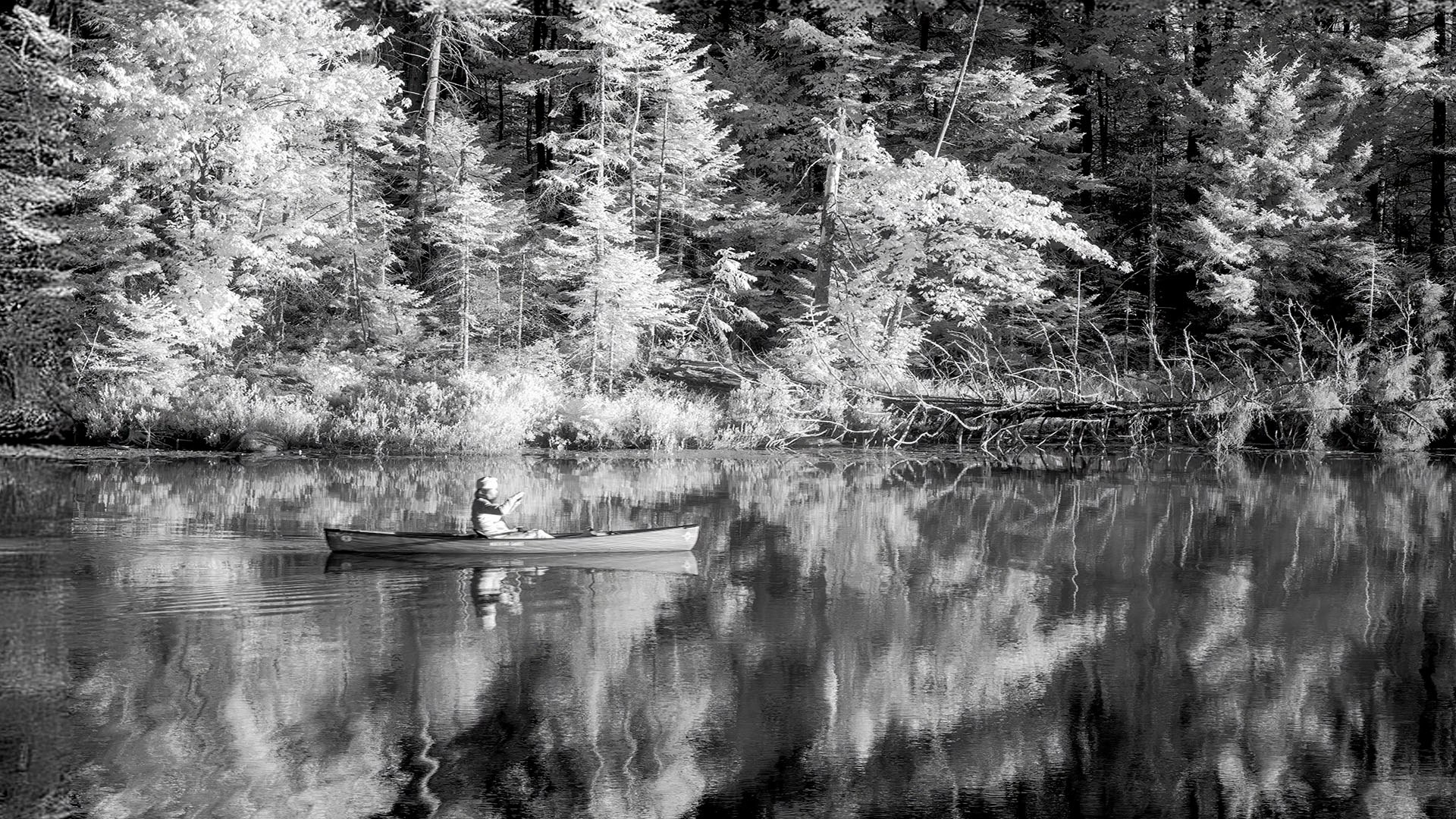The Canoeist by Norm Solomon
