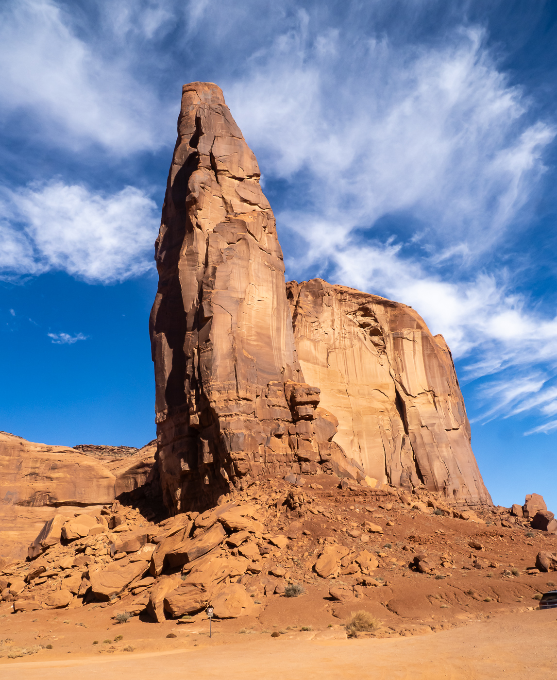 Monument Valley Howling Coyote