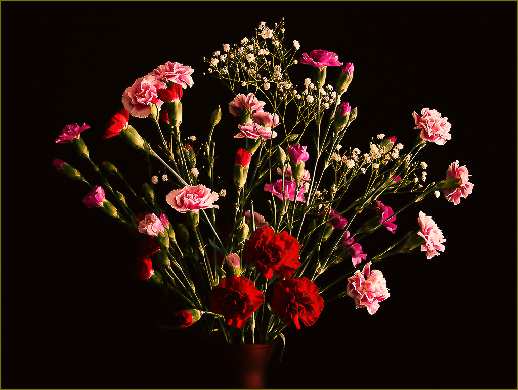 Bouquet of Carnations by Barbara Asacker