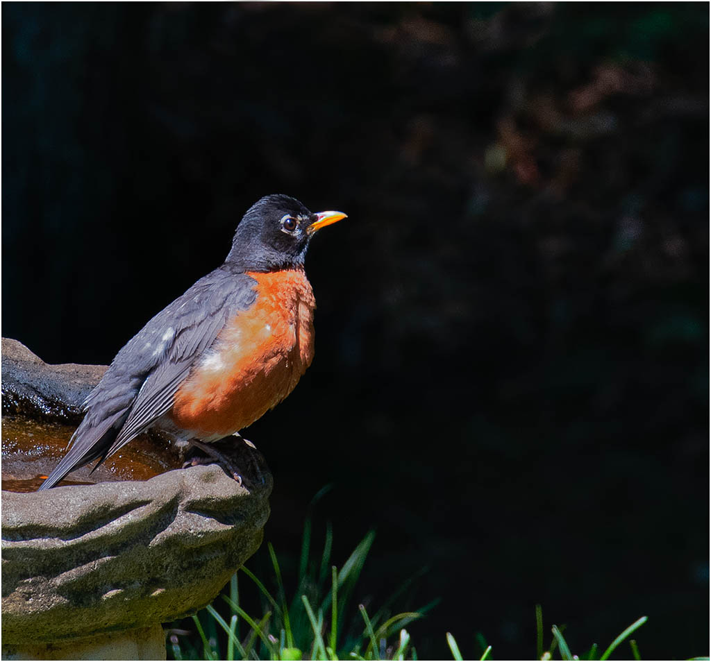 Just Resting by Barbara Asacker