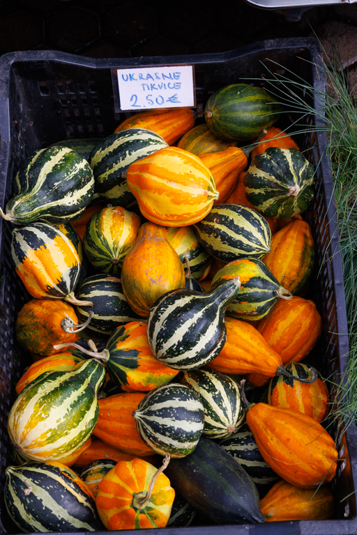 November 2025 - Deborah Milburn