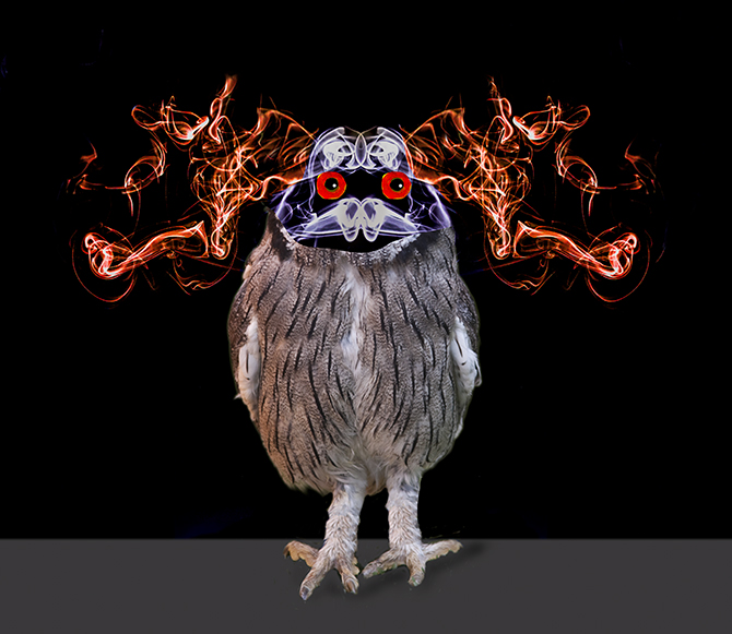 Confused by Angela Bonner