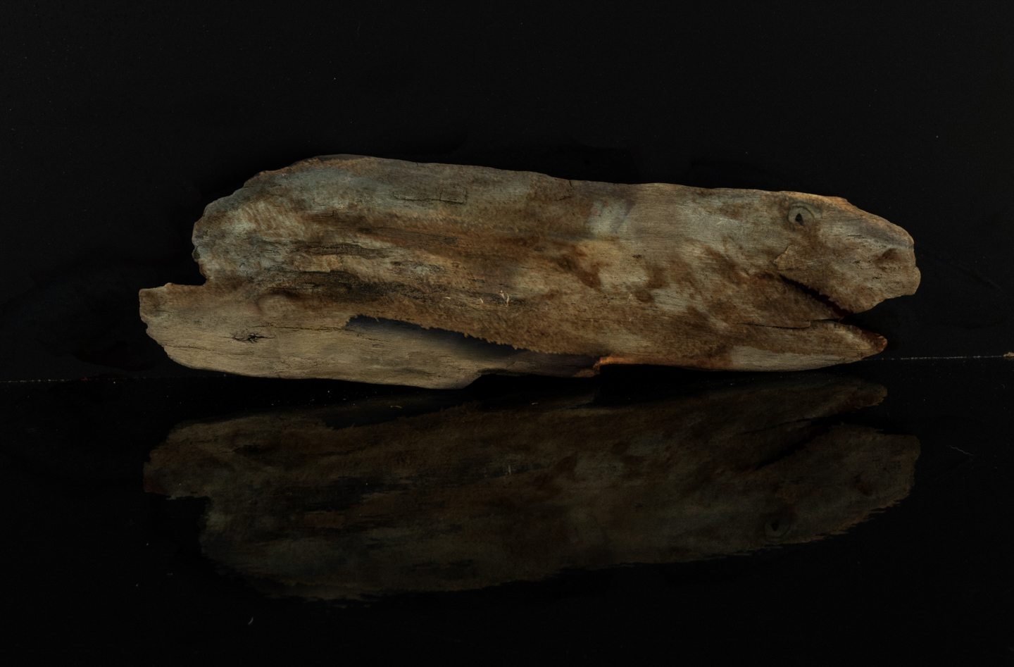 Driftwood Fish