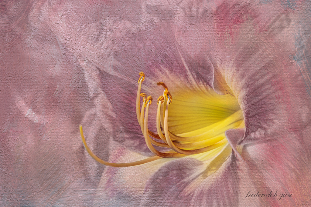 Inside the Flower by Fred Giese