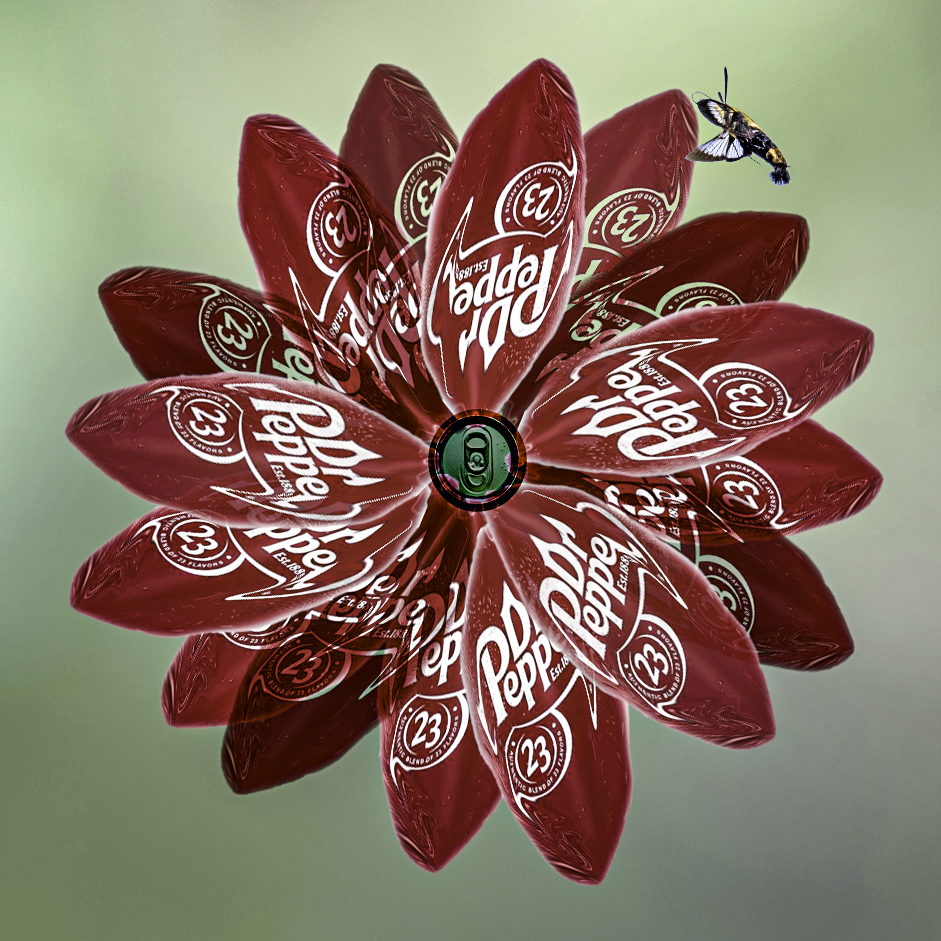 DP Dahlia by Sylvia Williams