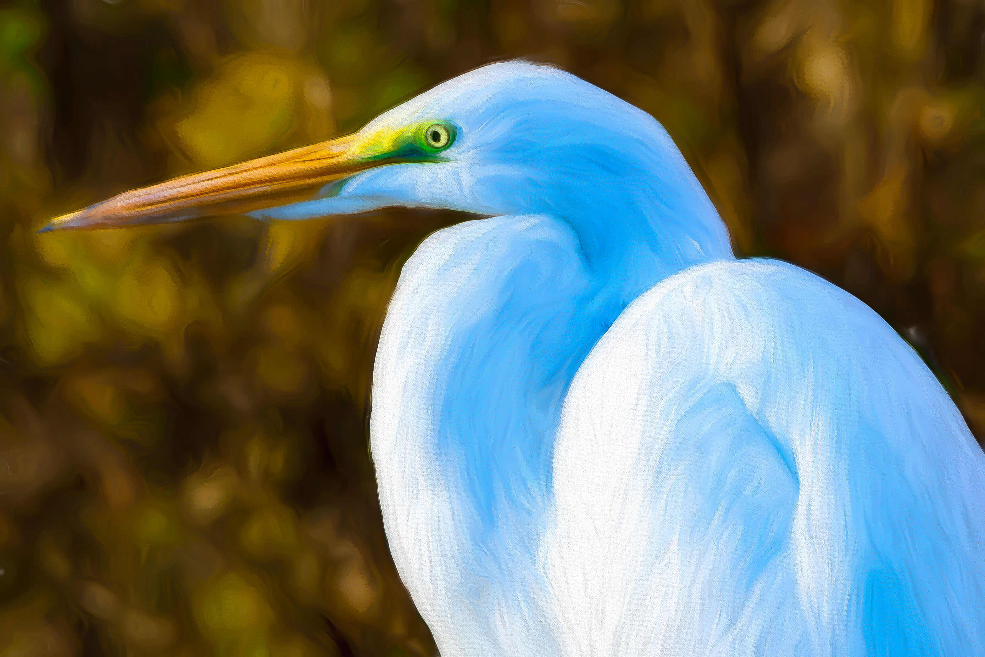Great Egret by Ron Spencer