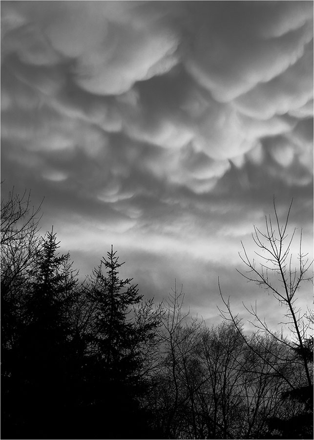 Mammatus Clouds