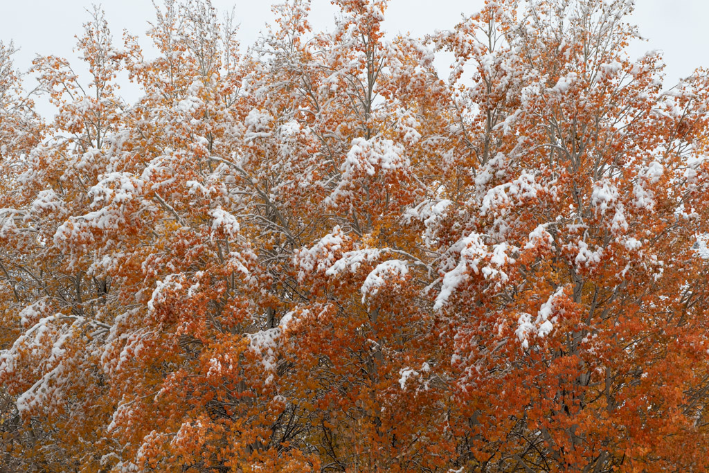 April 2026 - Mike Patterson