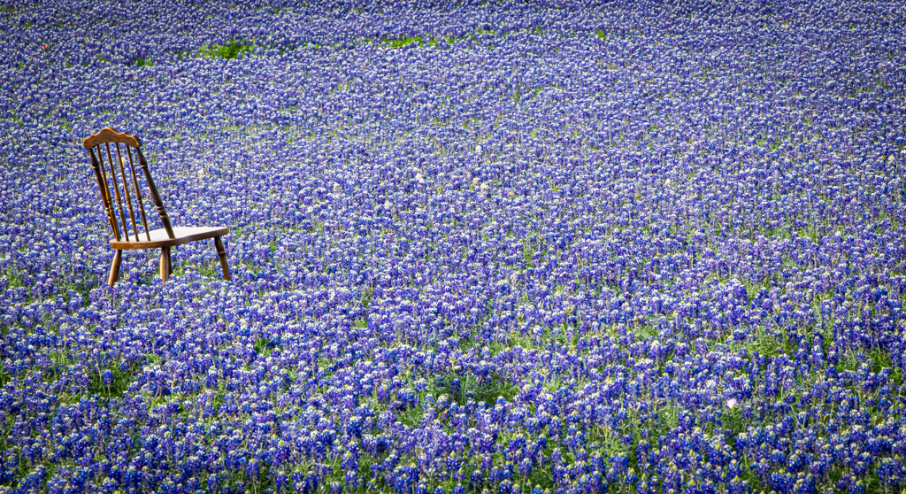 Field of Dreams