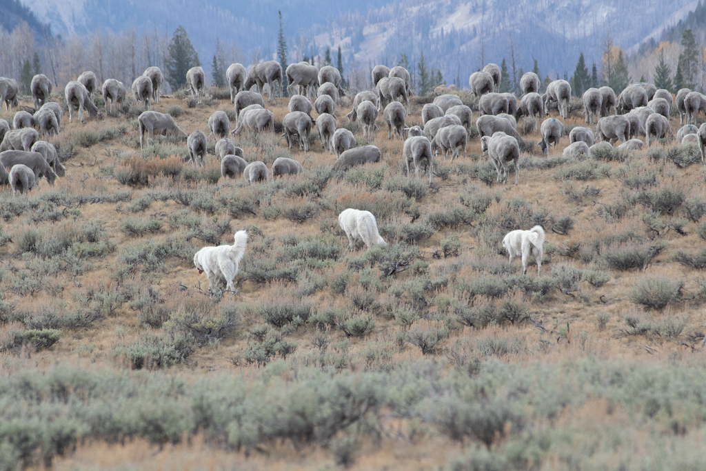 November 2025 - Mike Patterson