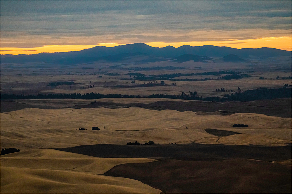 Palouse View by Marti Buckely