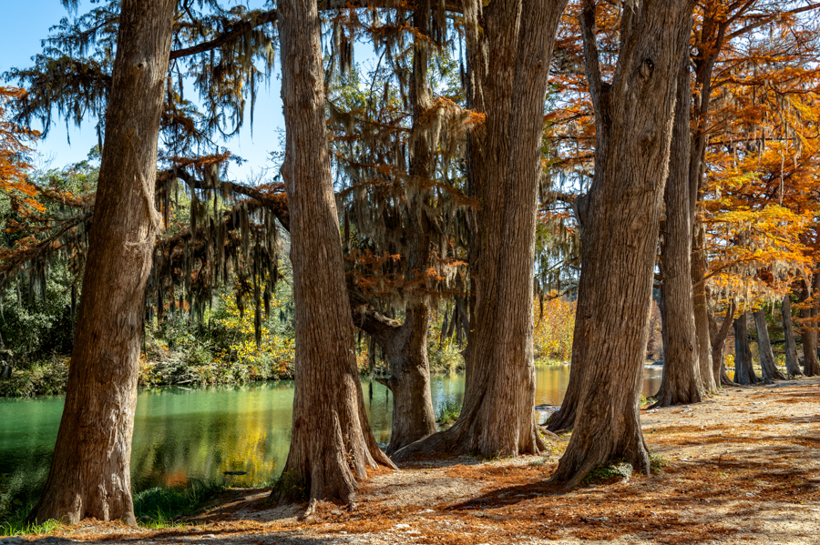 Fall on the River by Peggy Reeder