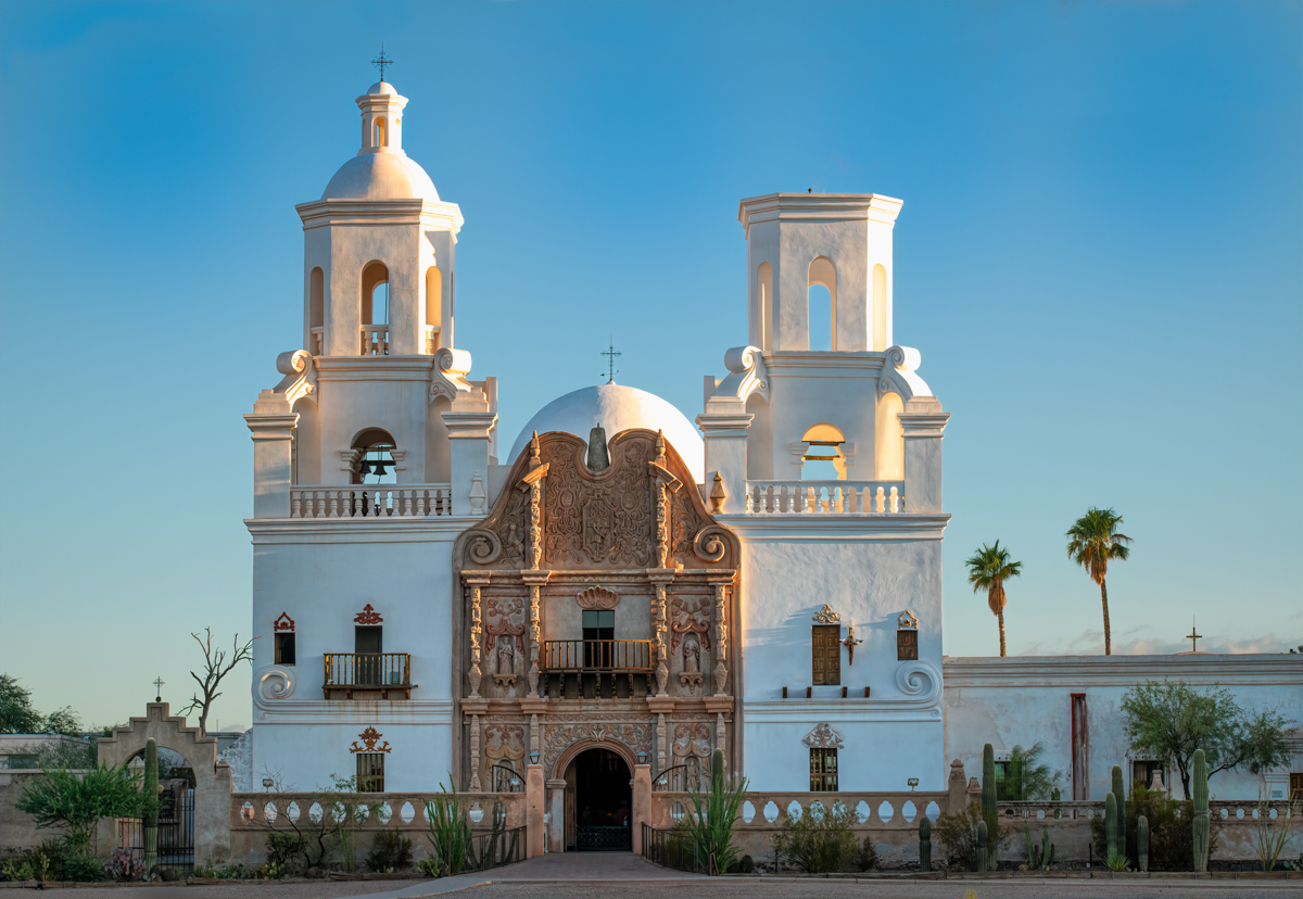 White Dove of the Desert by Peggy Reeder