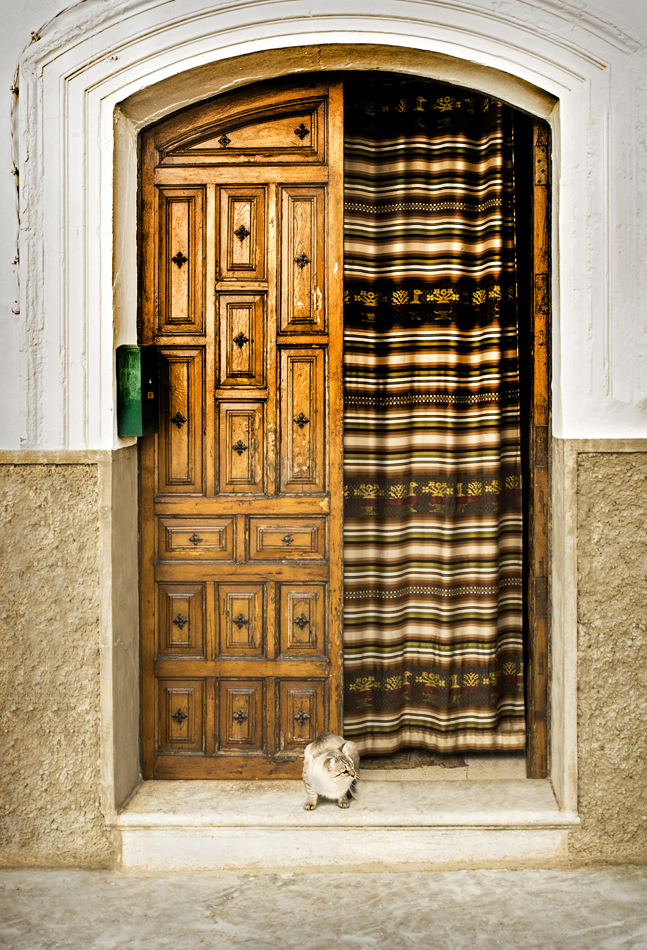 Cat in Doorway by Jerry Biddlecom