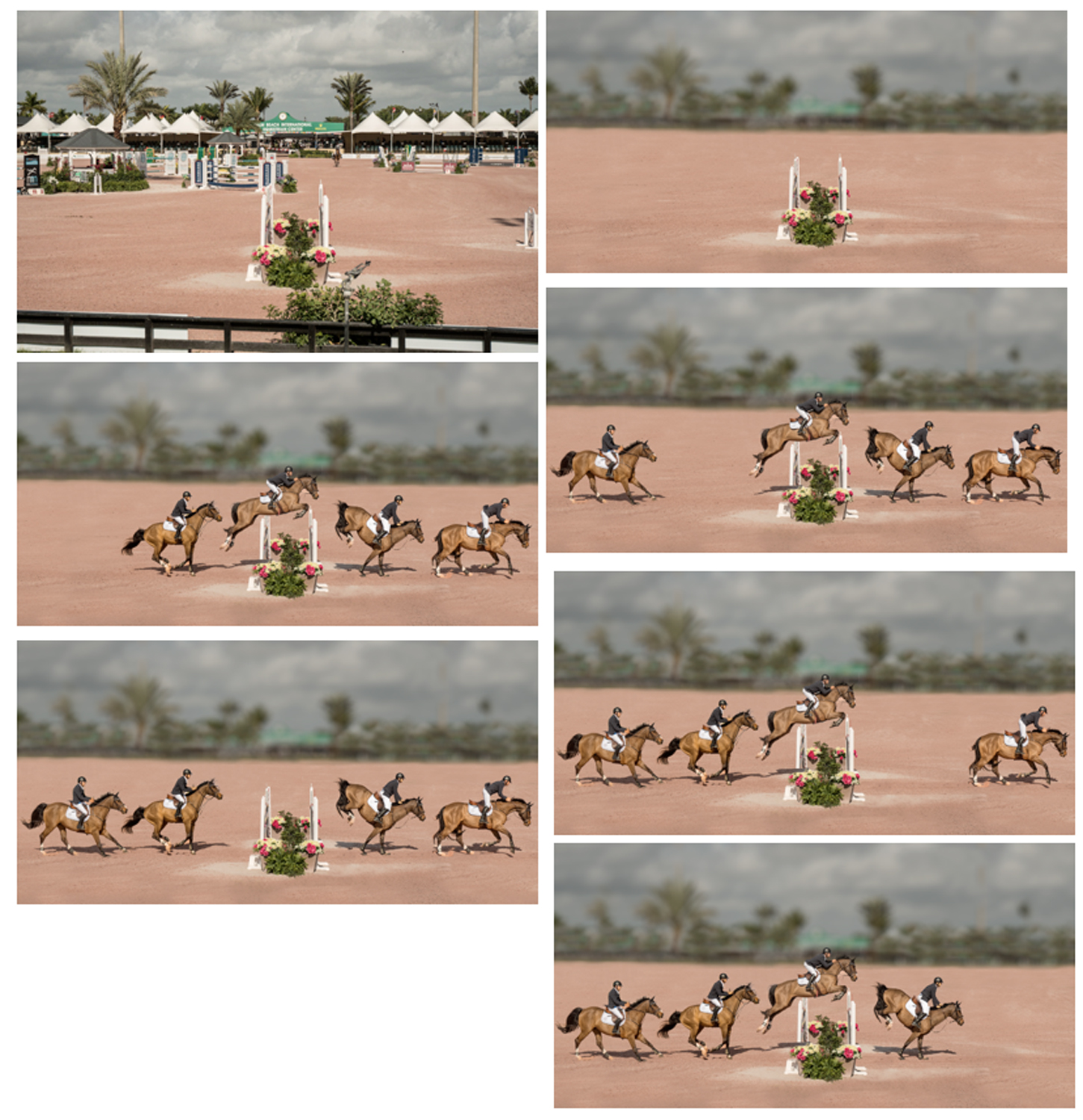 November 2025 - Jerry Biddlecom