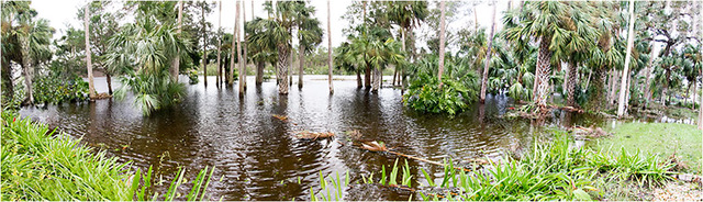 Backyard Lake