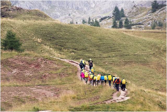 Mountaineers by Joseph J Zaia