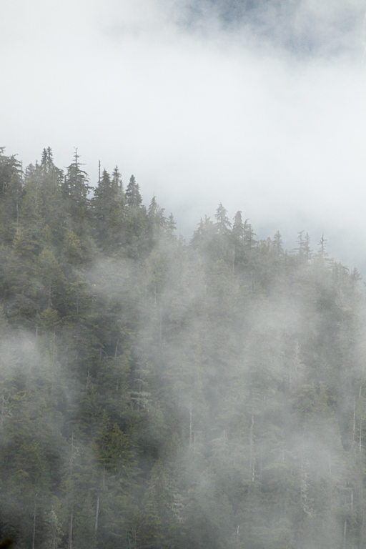 Mountain Fog